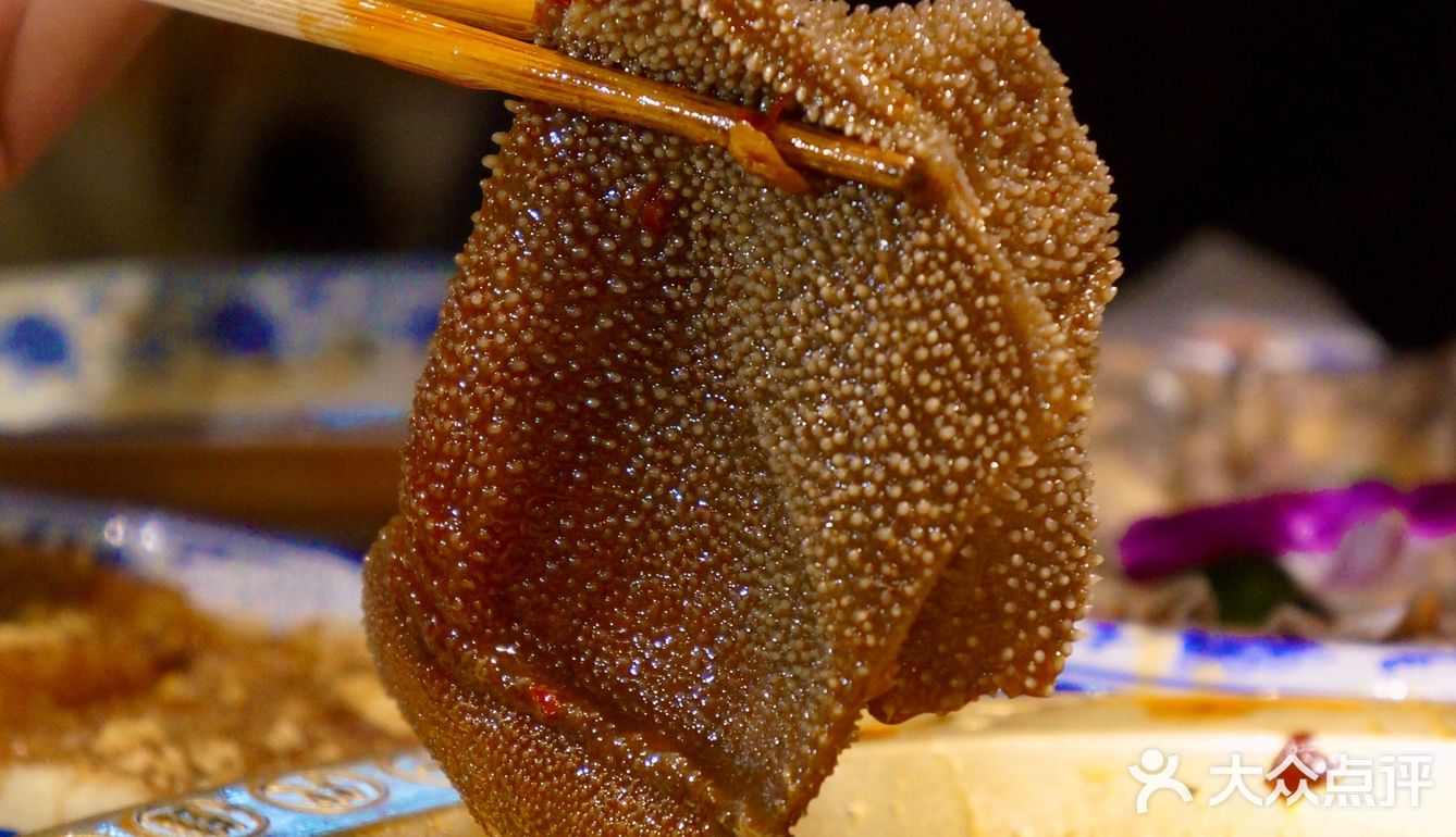 深圳排队5个小时都吃不上的哥老官🐸要不…我们开车去东莞？！🚗