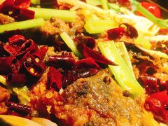 -老板恋上鱼(恒隆广场店)