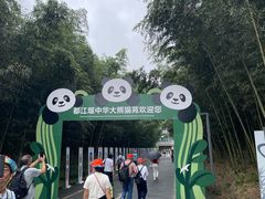 -都江堰中华大熊猫苑