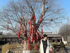 -西安汉城湖景区