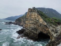 -杨梅坑