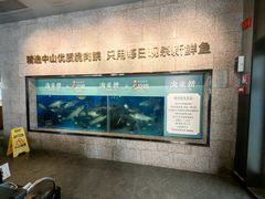 -淘米捞·米汤脆鲩鱼火锅(福田皇岗店)