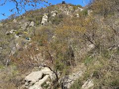 -北京鹫峰国家森林公园