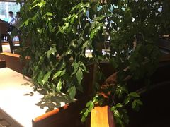 大堂-盐帮食坊•小河帮川菜(四川师大店)