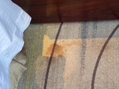 -蓝蔻酒店(深圳东站布吉万象汇店)