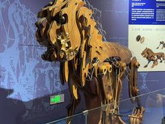 -国家自然博物馆