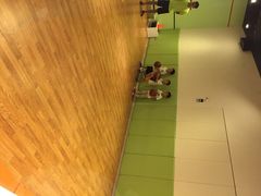 奇趣童年运动馆(宜家馆)-奇趣童年运动馆(宜家馆)