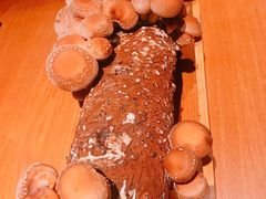 -大头椰·椰子鸡火锅(新梦店)