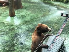 -深圳野生动物园
