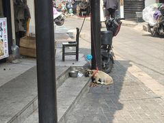 -葑门横街