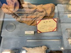 -浙江自然博物院(杭州馆)
