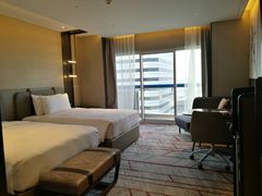 -新加坡瑞士史丹福酒店