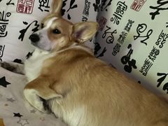 -爱康国宾体检中心(总部基地分院)