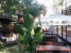 -Local泰莲庭(虹鳟鱼店)