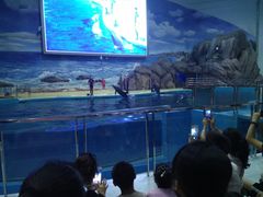 -福州罗源湾海洋世界旅游区