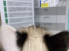 -半岛宠物医院24小时(科华中路店)