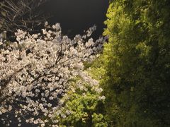 -华中科技大学光谷体育馆