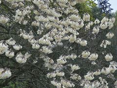 -钱塘江大桥