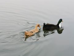 -前关湿地公园