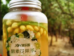 酵素花果茶-津乐园(榆关道店)