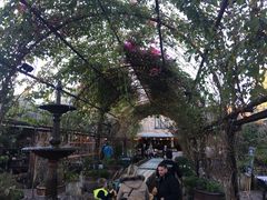 -The Grounds of Alexandria