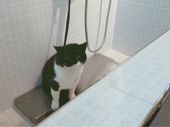 -PETKIT 小佩宠物·低压洗护·美容·寄养(安远店)