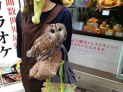 -秋叶原电器街