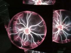 -陕西自然博物馆