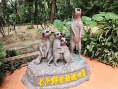-广州长隆野生动物世界