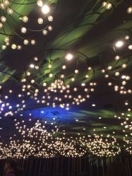 -西安威斯汀大酒店·宴会厅