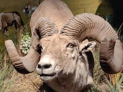 -武汉园博园(武汉自然博物馆)