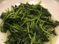-天和晟烤鸭店(世纪坛店)