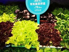 -王家渡火锅店(棕榈泉店)