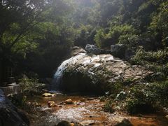 -南海湾森林生态园