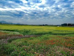 -光明小镇欢乐田园