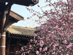 -陈武帝故宫