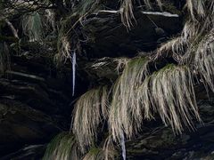 -梵净山旅游区