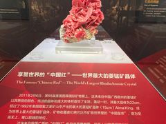 -湖南省地质博物馆