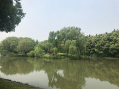 -昆山城市生态森林公园