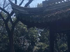 -秋霞圃