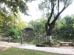 -瀛洲公园