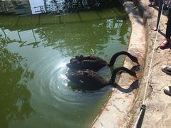 -广东花都香草世界旅游度假区