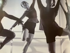 -苏菲艺术教育·芭蕾·钢琴(宝安碧海中心校区)