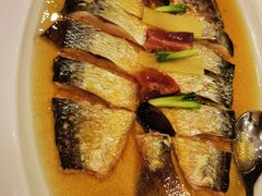 鲥鱼-金时代顺风大酒店(爱琴海购物中心店)