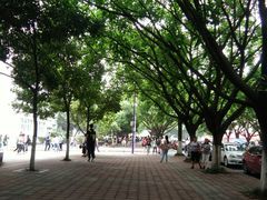 -西南政法大学(渝北校区)