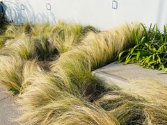 -瀛洲公园