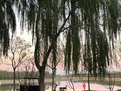 -西部马华清真兰州牛肉面·烧烤夜市(关东店)