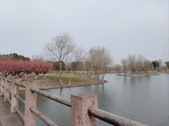 -长广溪湿地公园