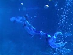 -烟台海昌鲸鲨海洋公园