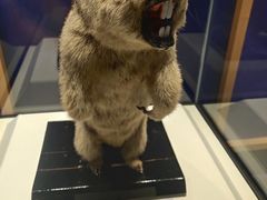 -国家自然博物馆